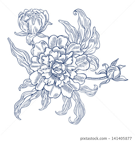 Peony flower bouquet. Vector, graphic illustration in blue color. Hand-drawn. On a white background. For designing postcards, invitations, and greetings. For textiles, labels, packaging, and more. Peony flower bouquet. Vector, graphic illustration in blue color. Hand-drawn. On a white background. For designing postcards, invitations, and greetings. For textiles, labels, packaging, and more. 141405877