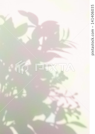 Vintage and colorful plant shadows 141406035
