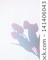 Vintage and colorful plant shadows 141406043
