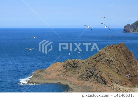 一群海鷗飛過知床宇登呂的三角形岩石地形。 一群海鷗飛過知床宇登呂的三角形岩石地形。 141406313