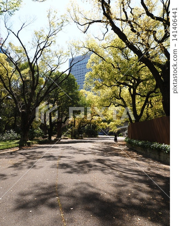 Hibiya Park scenery Hibiya Park scenery 141406441