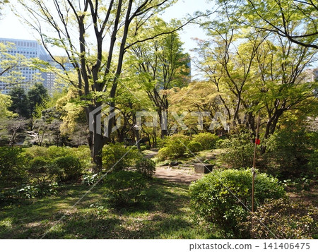 Hibiya Park scenery Hibiya Park scenery 141406475