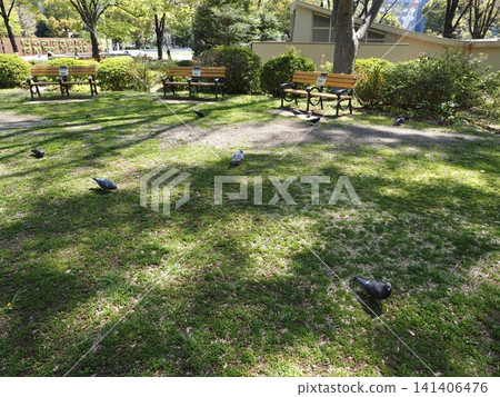 日比谷公園的風景 日比谷公園的風景 141406476