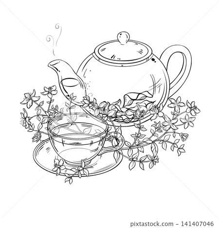 Tutsan Tea in Teapot Outline Illustration. Tutsan Tea in Teapot Outline Illustration. 141407046