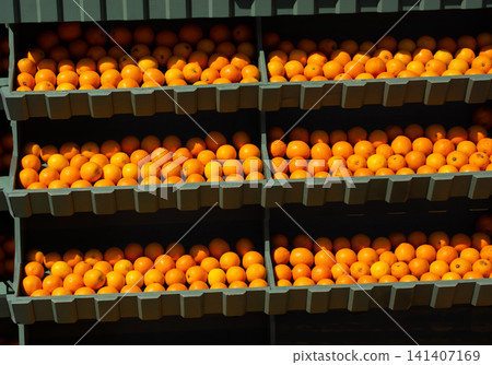 Oranges background. Fresh oranges variety grown in the shop. Oranges for juice, strudel, Oranges background. Fresh oranges variety grown in the shop. Oranges for juice, strudel, 141407169
