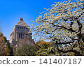 The National Diet Building and Oshima cherry blossoms 141407187
