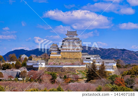 Spring of Himeji Castle 141407188
