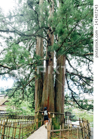 [Togakushi, Nagano City] Togakushi Chusha Shrine, Togakushi's Three Cedar Trees (I-no-sugi) 141407243