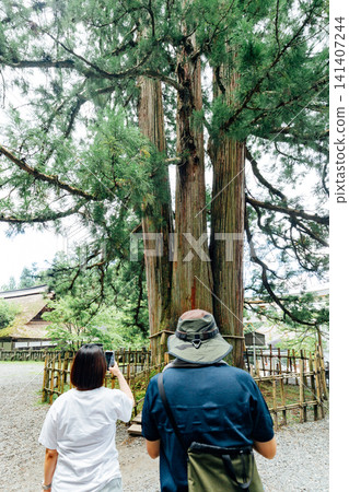 [Togakushi, Nagano City] Togakushi Chusha Shrine: Togakushi's Three Cedar Trees (I-no-sugi) and Tourists 141407244