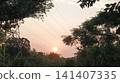 tree and sky with silhouette at sunset 141407335