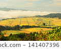 Rice fields where Echigo Koshihikari rice ripens Rice fields where Echigo Koshihikari rice ripens 141407396