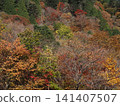 Autumn mountain skin 141407507