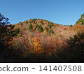 Dusk of autumn leaves 141407508