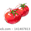 西紅柿 / 多種 / 夏季蔬菜 / 夏季 / 插圖素材 / PNG 素材 141407813