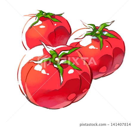 Tomatoes / Multiple / Summer Vegetables / Summer / Illustration Material / PNG Material Tomatoes / Multiple / Summer Vegetables / Summer / Illustration Material / PNG Material 141407814