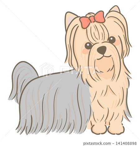 A hand-drawn illustration of a long-haired Yorkshire Terrier standing to the side with a ribbon in its head. A hand-drawn illustration of a long-haired Yorkshire Terrier standing to the side with a ribbon in its head. 141408898