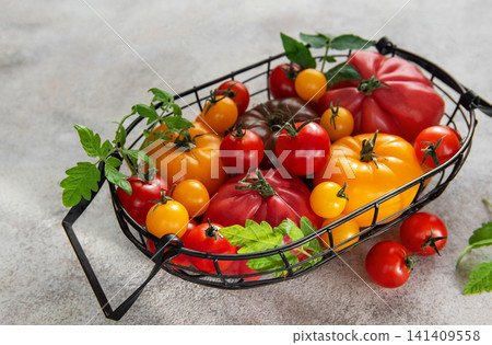 Fresh organic heirloom tomatoes in harvest basket from garden Fresh organic heirloom tomatoes in harvest basket from garden 141409558