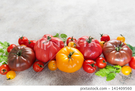 Fresh colorful heirloom tomatoes and cherry tomatoes harvest Fresh colorful heirloom tomatoes and cherry tomatoes harvest 141409560
