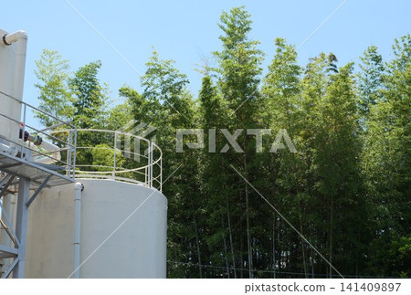 A giant tank and a bamboo forest A giant tank and a bamboo forest 141409897