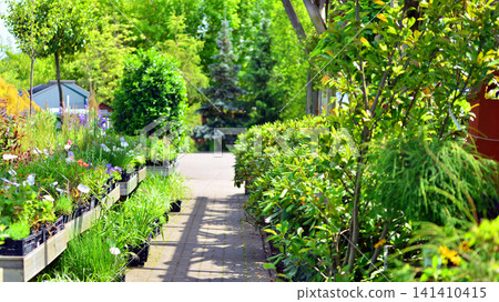Plants in containers and trees of various manufacturers, for sale in garden shop. Plants in containers and trees of various manufacturers, for sale in garden shop. 141410415