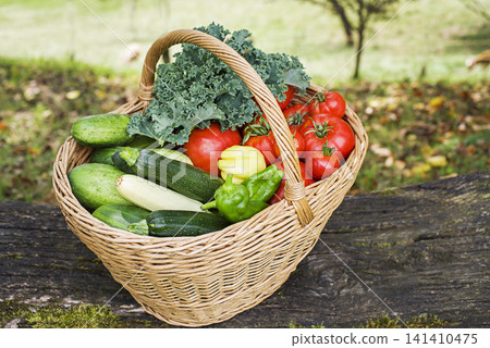 Vegetables harvest Vegetables harvest 141410475