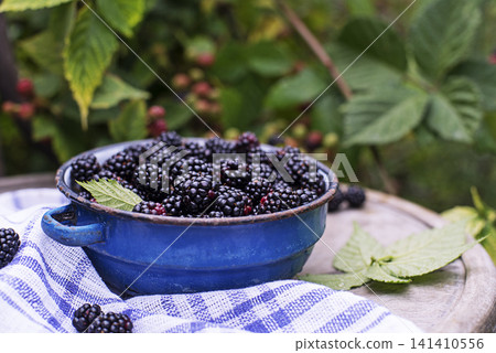 Blackberries Blackberries 141410556
