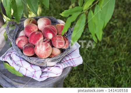 Peaches harvest Peaches harvest 141410558