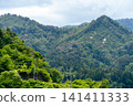 日本夏季鬱鬱蔥蔥的山景 141411333