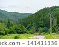 日本夏季鬱鬱蔥蔥的山景 141411336