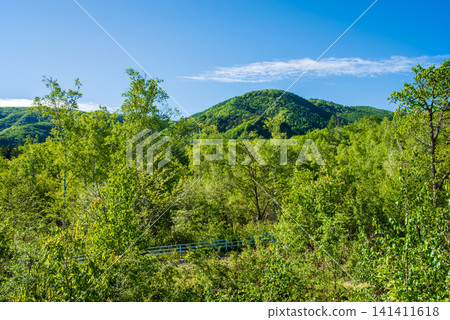 Fresh green scenery around Ichinose Park in Norikura Plateau (Matsumoto City, Nagano Prefecture) Fresh green scenery around Ichinose Park in Norikura Plateau (Matsumoto City, Nagano Prefecture) 141411618