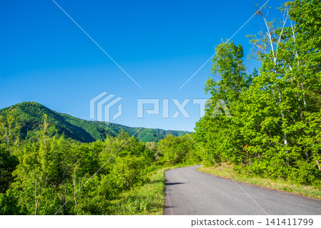 Fresh green scenery around Ichinose Park in Norikura Plateau (Matsumoto City, Nagano Prefecture) Fresh green scenery around Ichinose Park in Norikura Plateau (Matsumoto City, Nagano Prefecture) 141411799