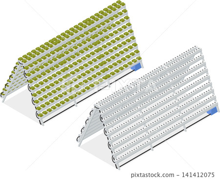 Cabbage plants in hydroponic rack setup Cabbage plants in hydroponic rack setup 141412075