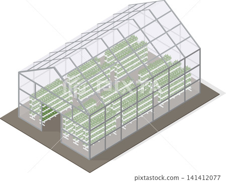 Hydroponic farming system in greenhouse Hydroponic farming system in greenhouse 141412077