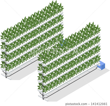 Spinach plants in hydroponic rack setup Spinach plants in hydroponic rack setup 141412081