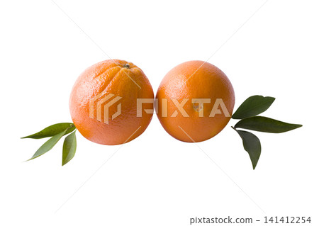 The fresh mandarines isolated on white background. Oranges are arranged in rows. Placed on a white background. The fresh mandarines isolated on white background. Oranges are arranged in rows. Placed on a white background. 141412254