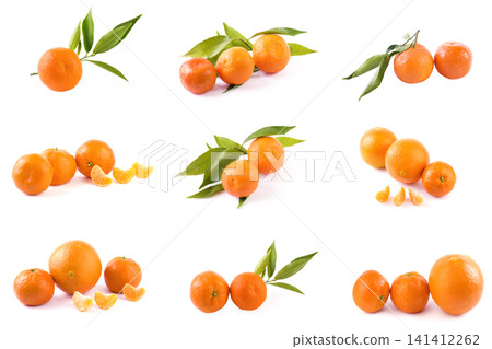 fresh mandarines isolated on white background. Oranges are arranged in rows. Placed on a white background. fresh mandarines isolated on white background. Oranges are arranged in rows. Placed on a white background. 141412262