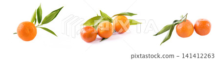 fresh mandarines isolated on white background. Oranges are arranged in rows. Placed on a white background. fresh mandarines isolated on white background. Oranges are arranged in rows. Placed on a white background. 141412263