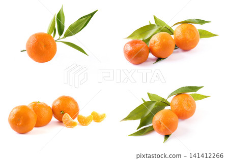 fresh mandarines isolated on white background. Oranges are arranged in rows. Placed on a white background. fresh mandarines isolated on white background. Oranges are arranged in rows. Placed on a white background. 141412266