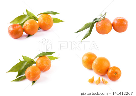 fresh mandarines isolated on white background. Oranges are arranged in rows. Placed on a white background. fresh mandarines isolated on white background. Oranges are arranged in rows. Placed on a white background. 141412267