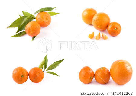 fresh mandarines isolated on white background. Oranges are arranged in rows. Placed on a white background. fresh mandarines isolated on white background. Oranges are arranged in rows. Placed on a white background. 141412268