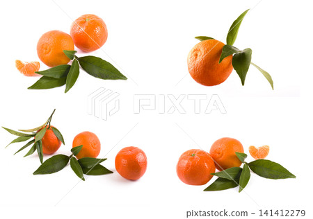 fresh mandarines isolated on white background. Oranges are arranged in rows. Placed on a white background. fresh mandarines isolated on white background. Oranges are arranged in rows. Placed on a white background. 141412279
