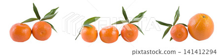 Oranges on a white background. Fresh citrus fruits on a white background. Oranges on a white background. Fresh citrus fruits on a white background. 141412294