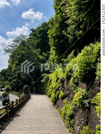 A lush, cobblestone promenade under a blue sky A lush, cobblestone promenade under a blue sky 141412303