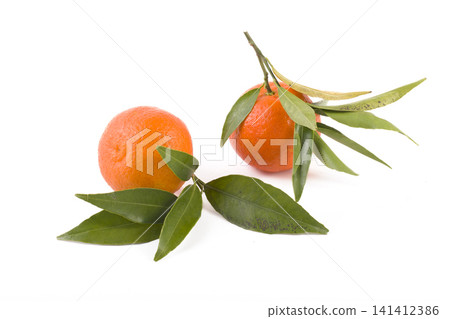 fresh mandarines isolated on white background. Oranges are arranged in rows. Placed on a white background. fresh mandarines isolated on white background. Oranges are arranged in rows. Placed on a white background. 141412386