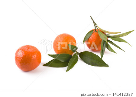 fresh mandarines isolated on white background. Oranges are arranged in rows. Placed on a white background. fresh mandarines isolated on white background. Oranges are arranged in rows. Placed on a white background. 141412387
