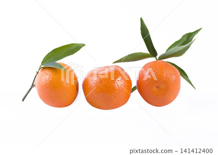 fresh mandarines isolated on white background. Oranges are arranged in rows. Placed on a white background. fresh mandarines isolated on white background. Oranges are arranged in rows. Placed on a white background. 141412400