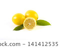Lemons with leaves on a white background. Fresh lemons on a white background. 141412535