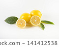 Lemons with leaves on a white background. 141412538