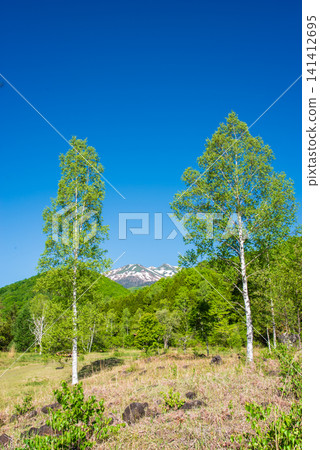 "Norikura Plateau": Snow-capped Mt. Norikura and the lush green scenery around Ichinose Park (Matsumoto City, Nagano Prefecture) "Norikura Plateau": Snow-capped Mt. Norikura and the lush green scenery around Ichinose Park (Matsumoto City, Nagano Prefecture) 141412695