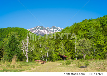 "Norikura Plateau": Snow-capped Mt. Norikura and the lush green scenery around Ichinose Park (Matsumoto City, Nagano Prefecture) "Norikura Plateau": Snow-capped Mt. Norikura and the lush green scenery around Ichinose Park (Matsumoto City, Nagano Prefecture) 141412699